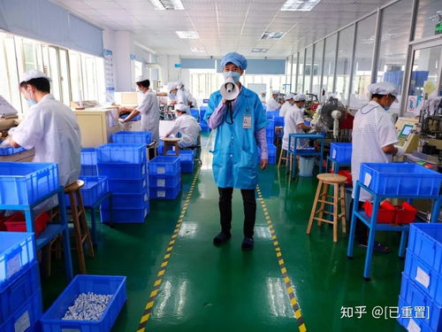 逆势增长300% 外贸工厂自建品牌的最好时候