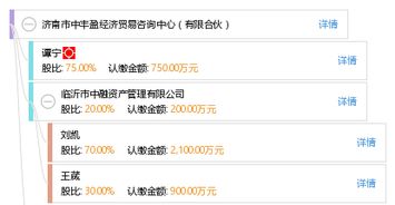 济南市中丰盈经济贸易咨询中心——有限合伙企业的经济贸易咨询业务解析