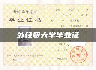超越一纸文凭 经济贸易咨询的实质与未来